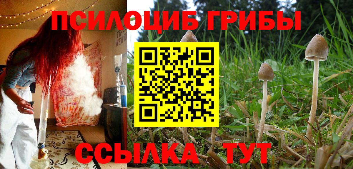 Псилоцибиновые грибы MAGIC MUSHROOMS Южно-Сахалинск